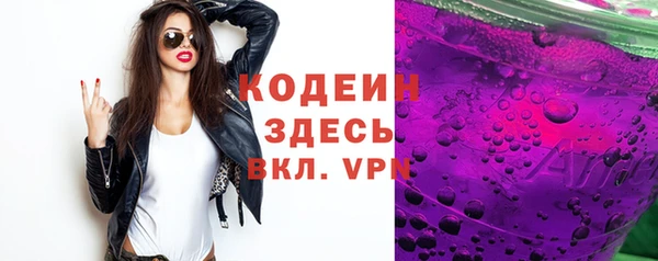 шишки Абаза