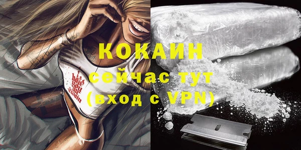 шишки Абаза