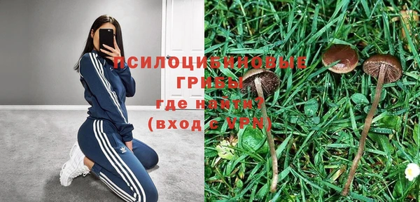 каннабис Алзамай